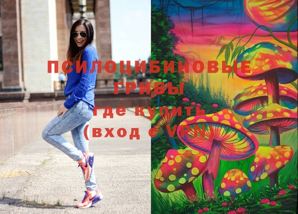 MDMA Инсар