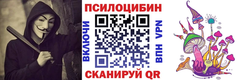 Купить где  Пошехонье  Псилоцибиновые грибы мухоморы 