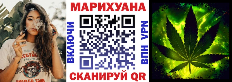 Купить закладки  Пошехонье  Канабис сатива 