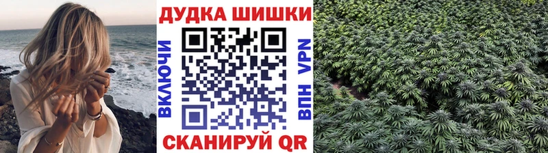 Конопля план Пошехонье